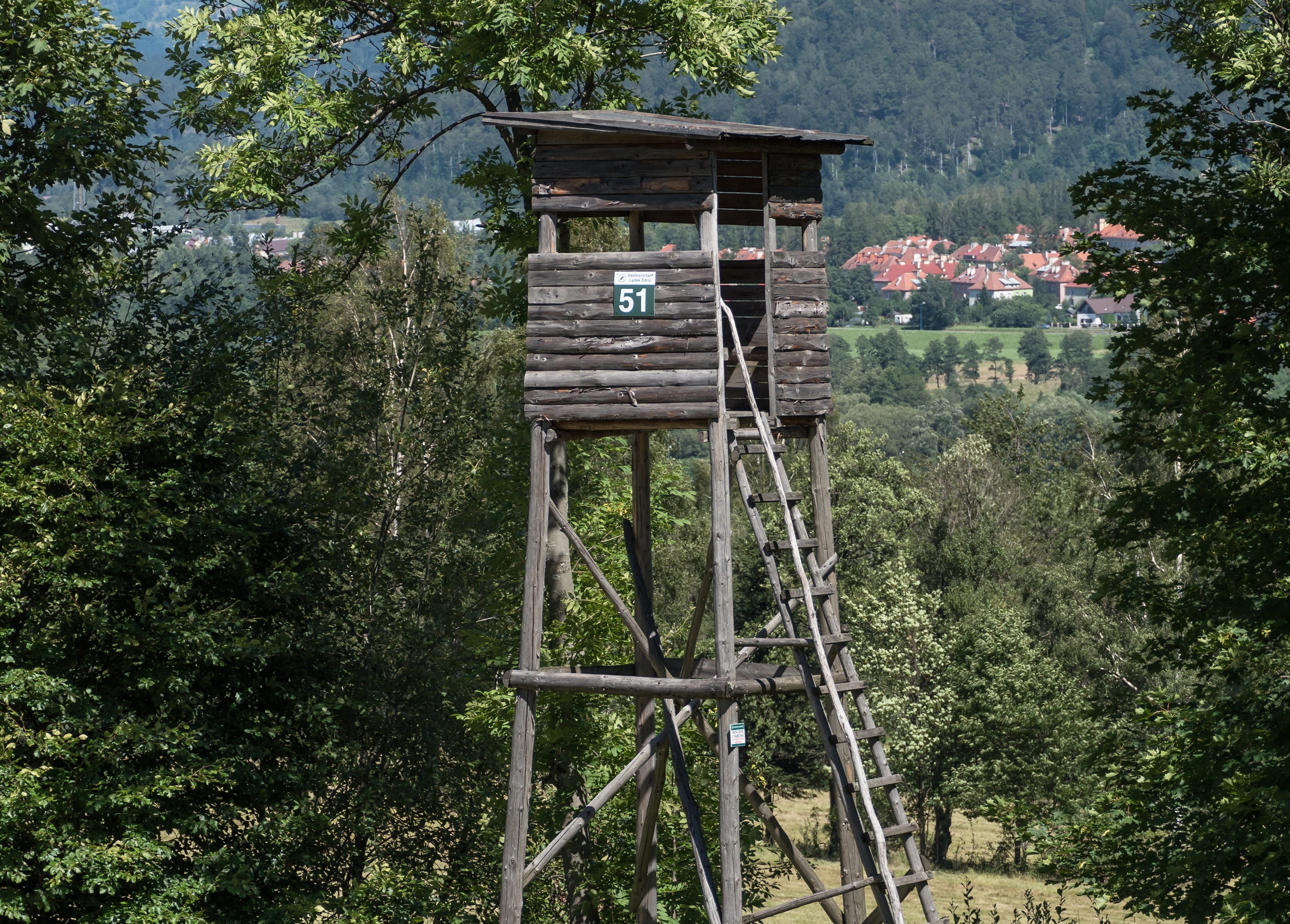 Stanowisko w sprawie nowelizacji prawa łowieckiego - zdjęcie