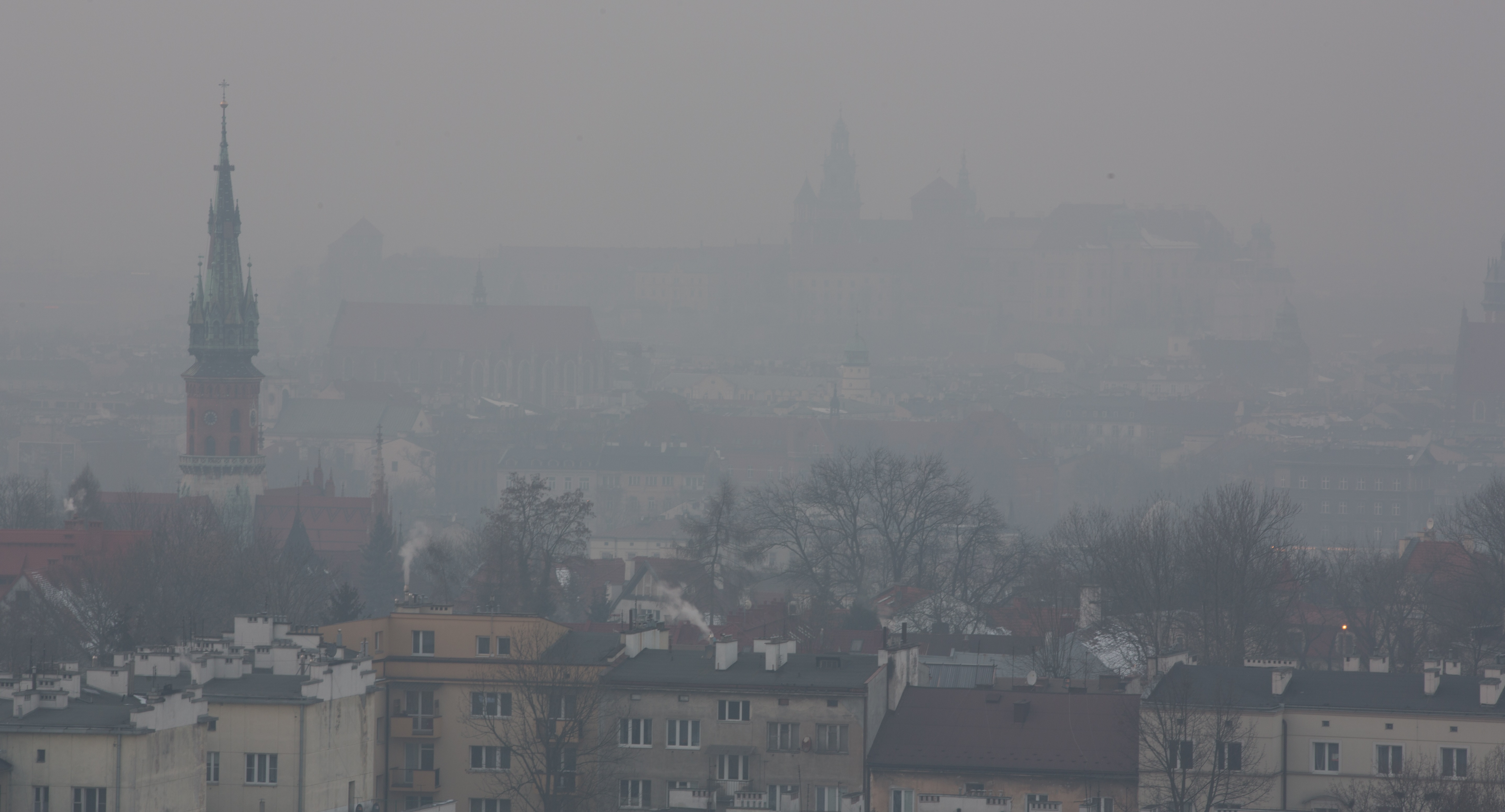 Stanowisko w sprawie smogowego programu sejmikowego - zdjęcie