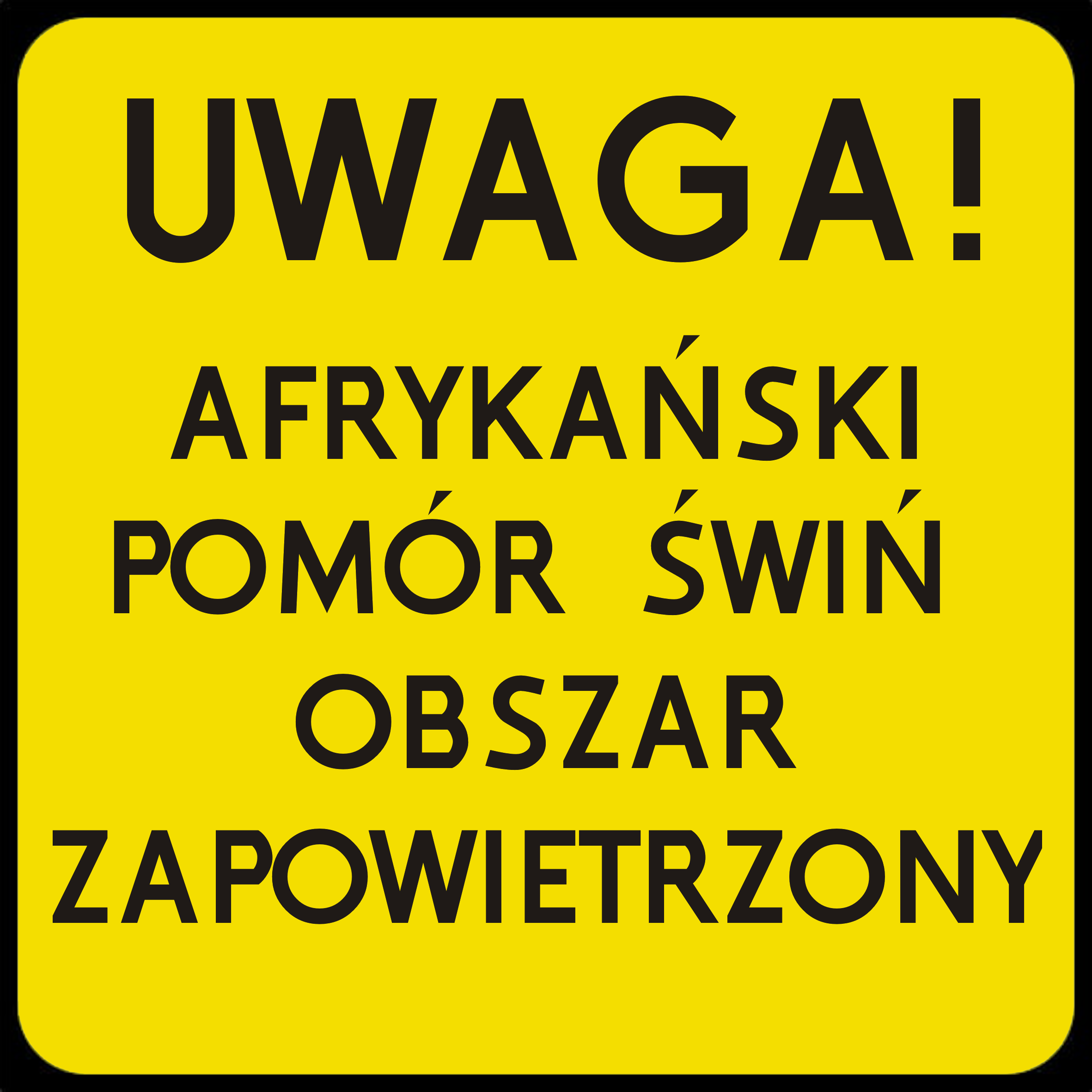 Stanowisko ws. afrykańskiego pomoru świń – strzelanie to nie rozwiązanie - zdjęcie